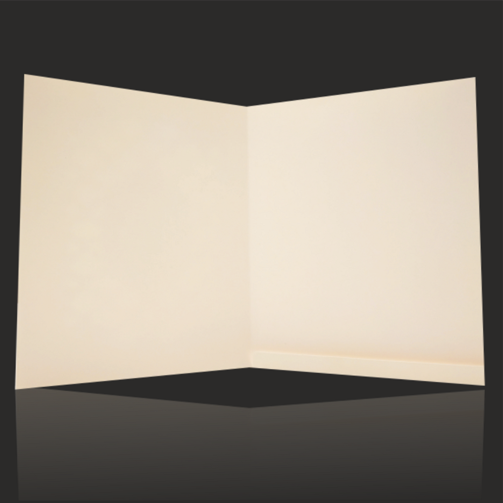 Pristine White Silver Screen with woolly wedding invite - KNK9011SI-3