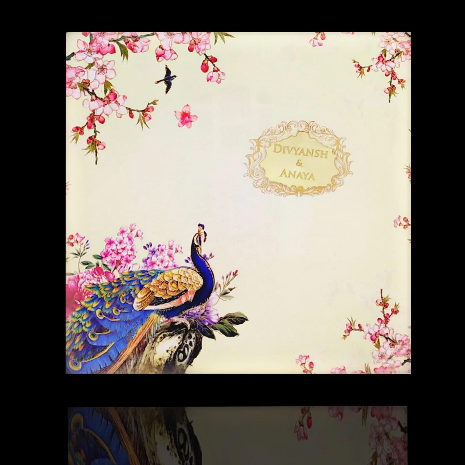 Invitation Card - KPBN1610-3